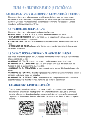 TEMA-4-Metamorfismo-y-tectonica.pdf