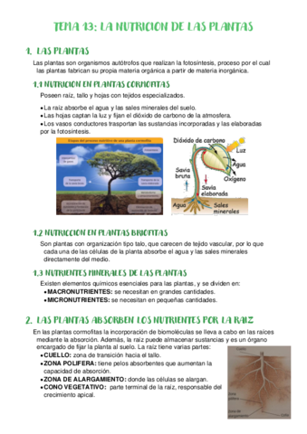 TEMA-13-La-nutricion-de-las-plantas.pdf