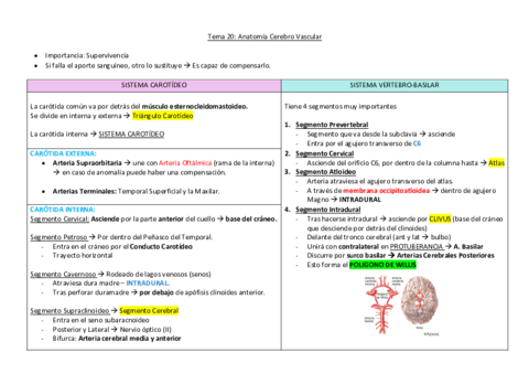 Anatomia-cerebro-vascular.pdf