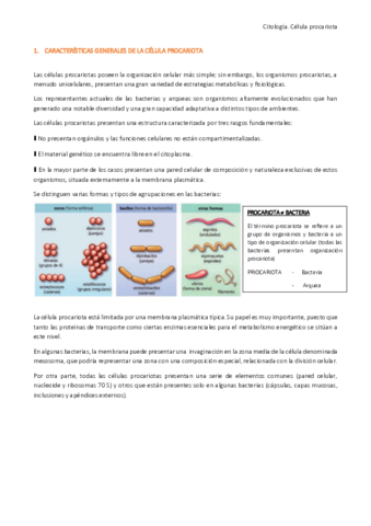 Citología: Célula procariota