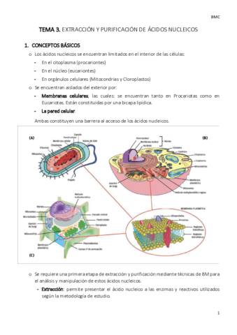 TEMA-3-bmc.pdf