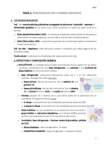 TEMA-2-bmc.pdf