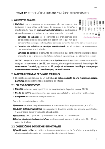 TEMA-12-bmc.pdf