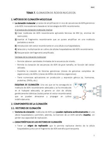 TEMA-7-bmc.pdf