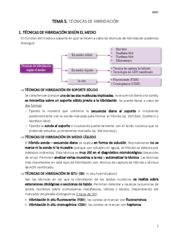 TEMA-5-bmc.pdf