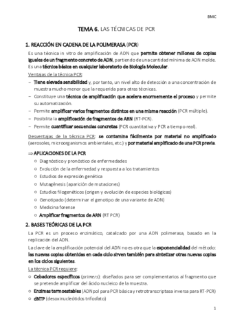 TEMA-6-bmc.pdf