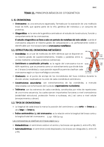TEMA-11-bmc.pdf