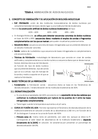 TEMA-4-bmc.pdf