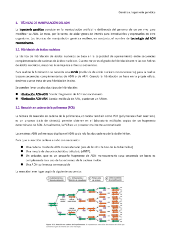 Genética: ingeniería genética