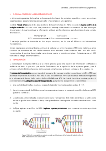Genética: expresión del mensaje genético