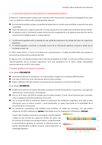 Genética: base molecular de la herencia