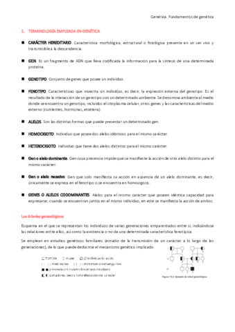 Genética: fundamentos de genética