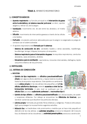 TEMA-3-cito-gen.pdf