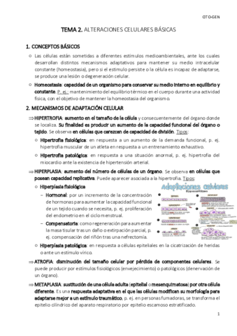 TEMA-2-cito-gen.pdf