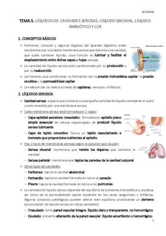 TEMA-5-cito-gen.pdf