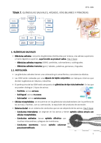 TEMA-7-cito-gen.pdf