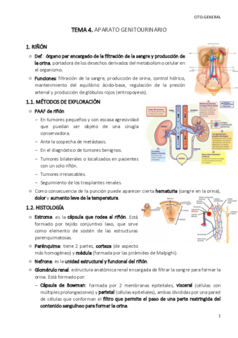 TEMA-4-cito-gen.pdf