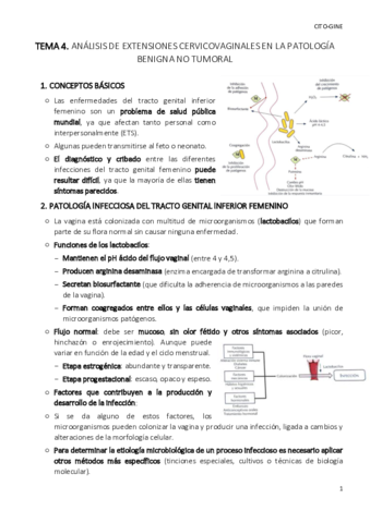 TEMA-4-cito-gin.pdf