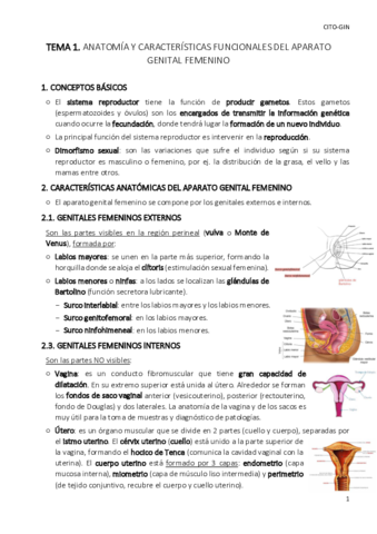 TEMA-1-cito-gin.pdf