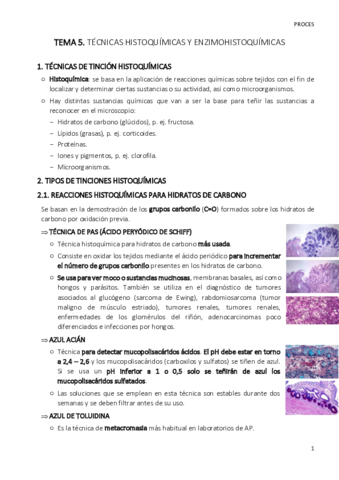 TEMA-5-proces.pdf