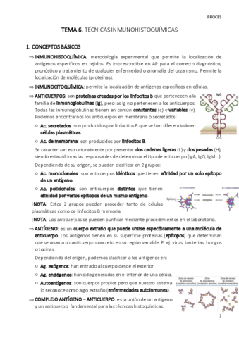 TEMA-6-proces.pdf