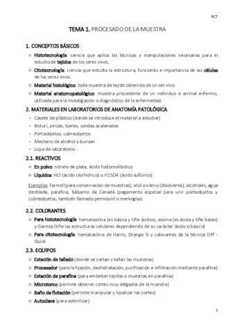 TEMA-1-proces.pdf