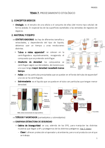 TEMA-7-proces.pdf