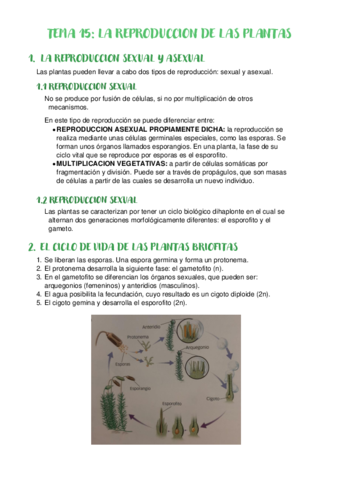 TEMA-15-LA-REPRODUCCION-DE-LAS-PLANTAS.pdf