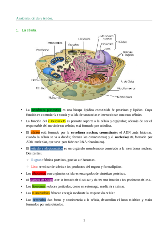 Anatomia-Celula-y-Tejidos.pdf