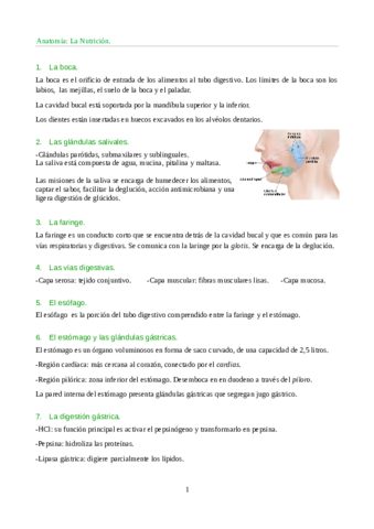 Anatomia-Nutricion.pdf
