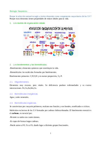 Biologia-bioquimica-1-Bach.pdf