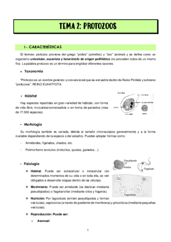 TEMA-2-PROTOZOOS.pdf