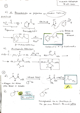 examen-organica-.pdf