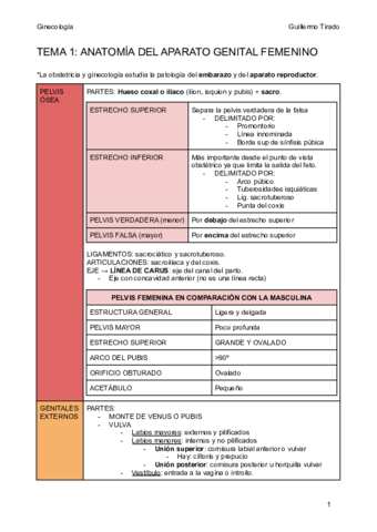 T1-Anatomia-del-ap-genital-femenino-1.pdf