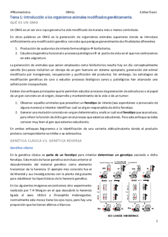 Tema-1-Introduccion-a-los-organismos-animales-modificados-geneticamente.pdf