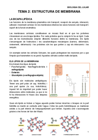 BIOCELT2.pdf