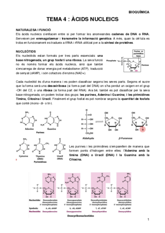 BIOQT4.pdf