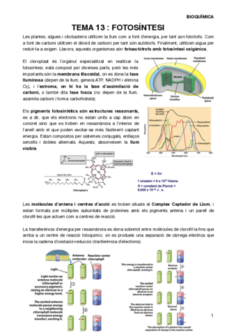 BIOQT13.pdf