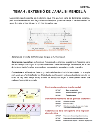 GENT4.pdf