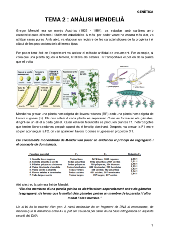 GENT2.pdf