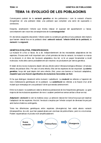 T14GP.pdf