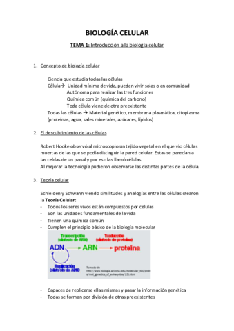 Tema-1.pdf