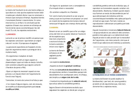 UNITAT-4-EVOLUCIO.pdf