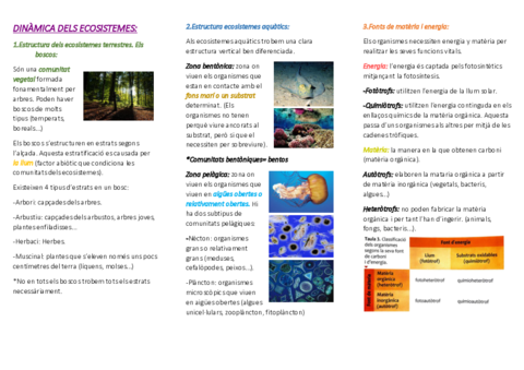 DINAMICA-DELS-ECOSISTEMES-final.pdf
