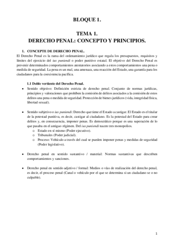 TEORIA-DERECHO-PENAL-1.pdf