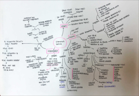 literatura-llatina-esquema-.pdf