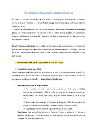 TEMA-5-DERECHO-INTERNACIONAL-DE-LOS-DERECHOS-HUMANOS-1.pdf