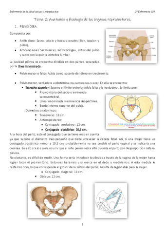 Tema-2.pdf