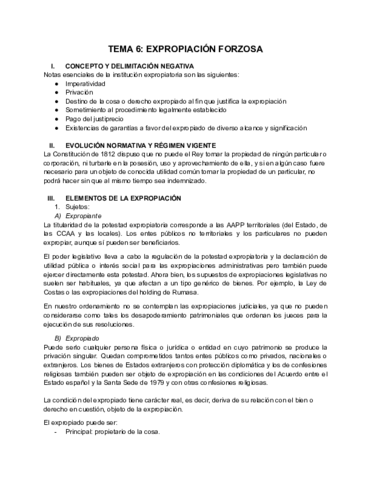 TEMA-6.pdf