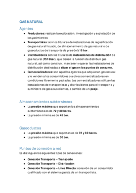 P2 T04 - Proyectos GASES Y LIQUIDOS COMBUSTIBLES (7) - Resumen.pdf